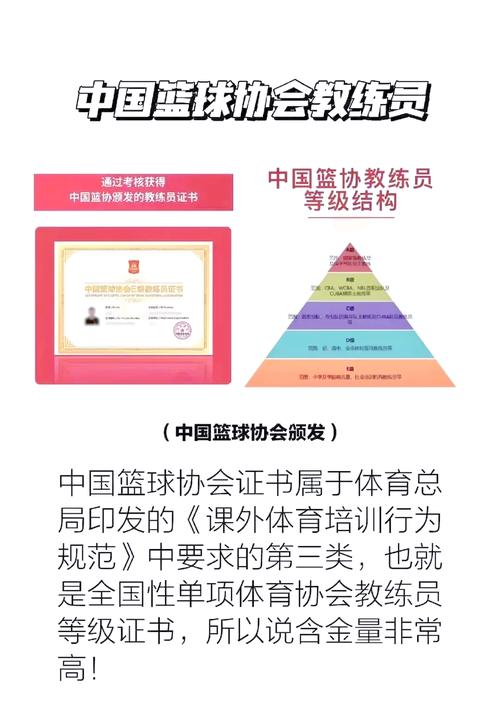 篮球协会和体育局的关系，篮球协会属于体制内吗？